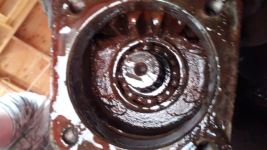 Bottom Bearing .png