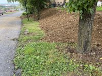 IMG_0343.JPG
