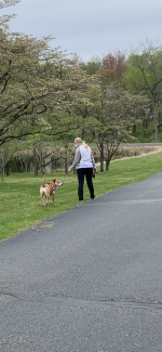 D604038B-AD89-4AB2-A799-6F510B0756EE.png