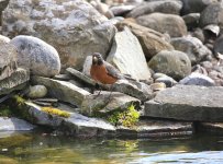 IMG_1954.JPG