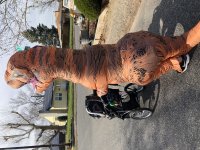 IMG_8876.jpeg IMG_8876.jpeg