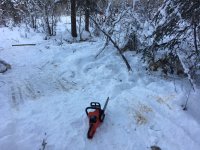 C770F067-5394-4C12-8028-5427346D7367.jpeg