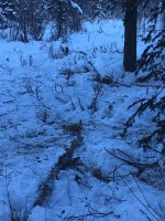 A324B9CE-DE25-4F68-B239-67B1F7D9D39E.jpeg