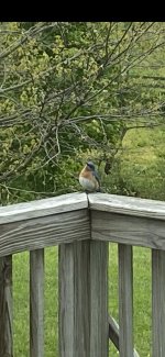 IMG_4444.JPG