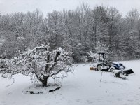 IMG_3350.jpeg