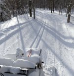 ginzuIMG_3535.jpg