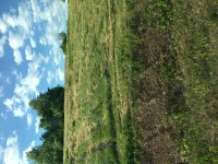 Hillside mowing2.jpg