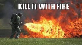 Fire.jpg