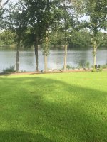 Image1599051856.137046.jpg