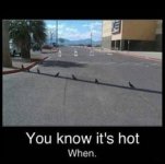 9b1180d561923ecfe426a9a879cce9f8--funny-images-funny-pics.jpg