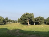 IMG_2005.jpg