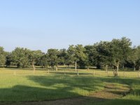 IMG_2004.jpg