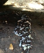 Debris from HST.jpg