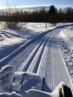 goodtracks.JPG