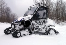 Rhino snowy.I.jpg
