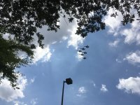 IMG_3680.JPG