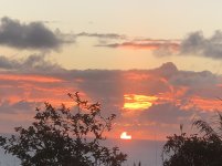 IMG_1338.JPG