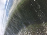 FF9E9459-3171-4C57-9273-1F329BA129F0.jpeg