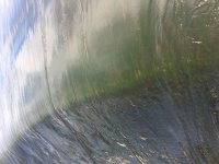 4E5D7AA4-49AA-4788-9CF5-9EB37070E793.jpeg