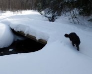 dam medow bridge.jpg