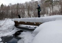 dam medow bridge 2015 (DL).jpg