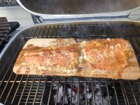IMG_4919.jpeg