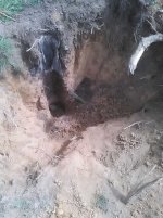 Hole.jpg