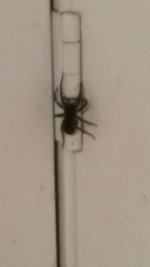 20190914_220419.jpg