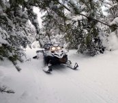 CR brush trails a.jpg