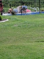 IMG_20190825_133733.jpg