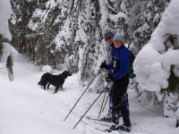 Arly, Sandy, Gromit BC copper harbor.jpg