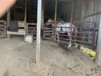 IMG_0378.jpg