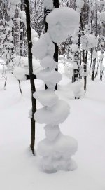 snowscaple20673.jpg