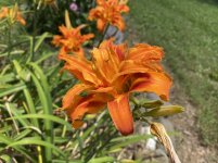 IMG_5577.JPG
