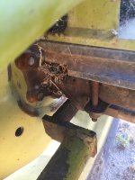IMG_3773.jpeg