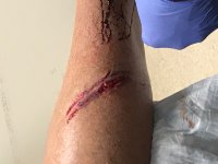 Chain Saw Cut.jpg Chain Saw Cut.jpg