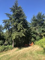 IMG_1937.jpeg