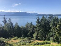 IMG_1068.jpg