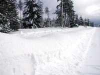 Front fence buried in snow 2008.jpg