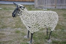 sheep.jpg
