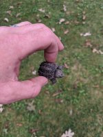 IMG_20200906_183538.jpg