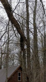 IMG_20200516_165947.jpg