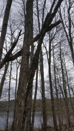 IMG_20200516_165848.jpg