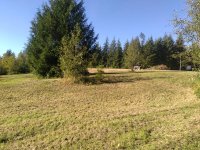 IMG_20200907_172008.jpeg