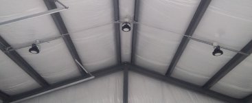 Lights 3.JPG