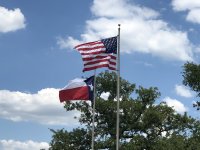 IMG_2031.jpg