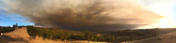 2020-09-08BearFirepano.jpg