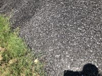 IMG_3547.jpg