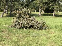 IMG_2267.jpg