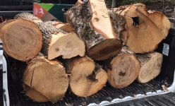 wood.jpeg